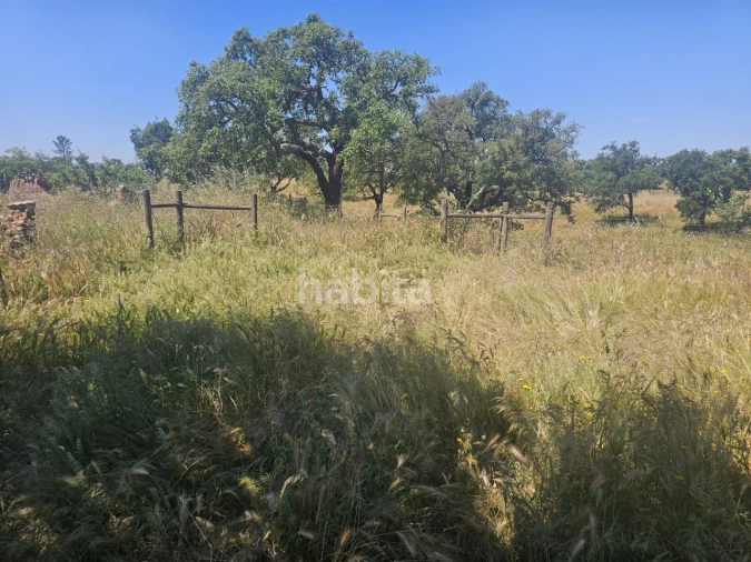 Quinta T1 para Venda em Abela Foto 10