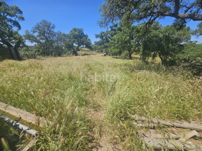 Quinta T1 para Venda em Abela Foto 11