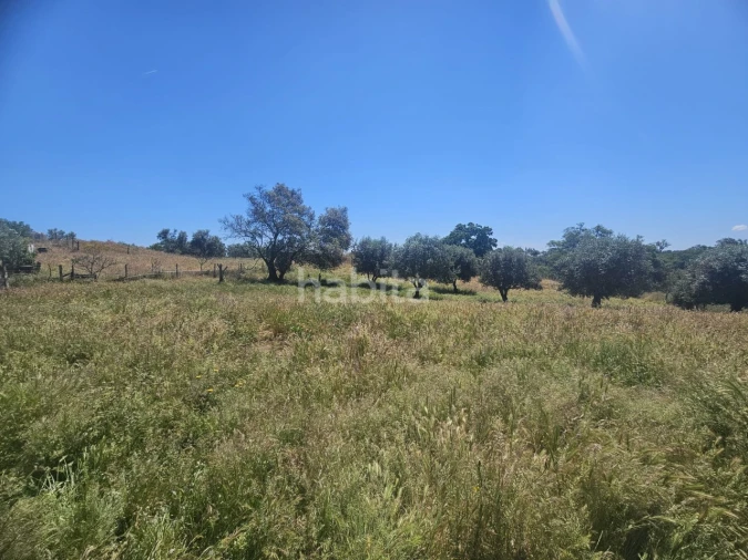 Quinta T1 para Venda em Abela Foto 12