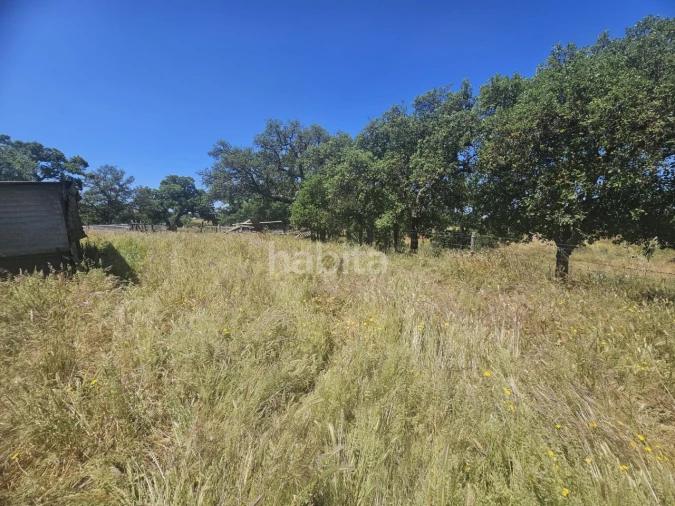 Quinta T1 para Venda em Abela Foto 13