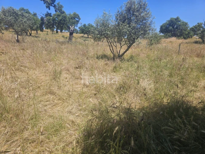 Quinta T1 para Venda em Abela Foto 14