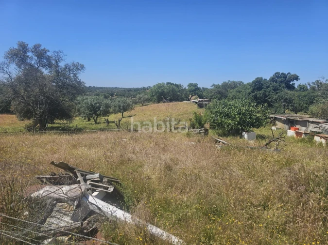 Quinta T1 para Venda em Abela Foto 17