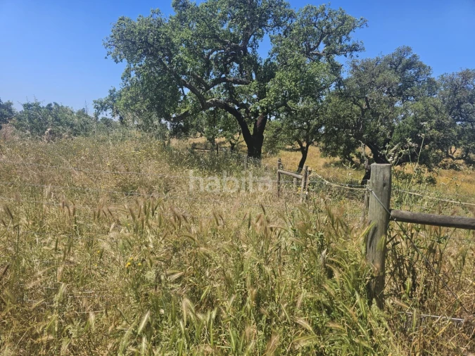 Quinta T1 para Venda em Abela Foto 19