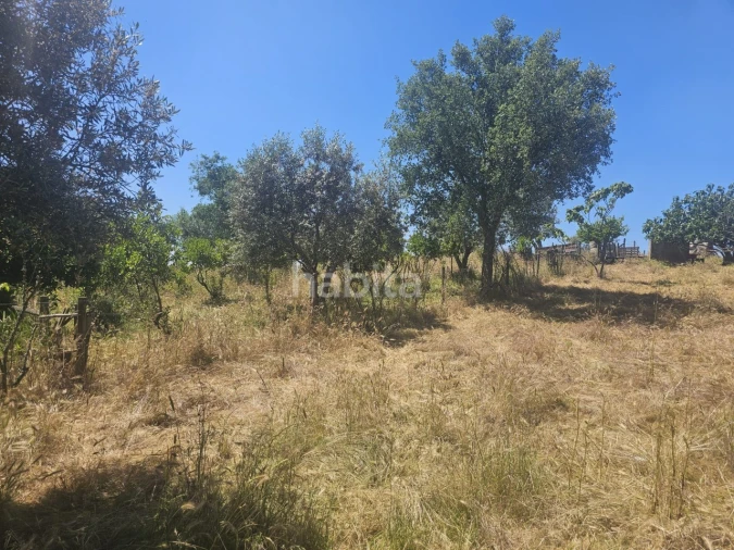 Quinta T1 para Venda em Abela Foto 20