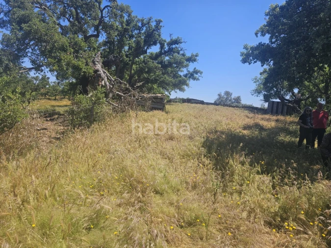 Quinta T1 para Venda em Abela Foto 22