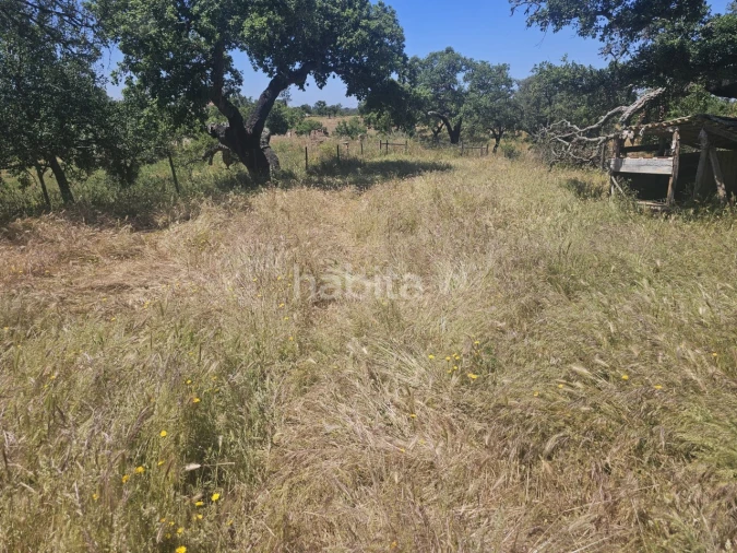 Quinta T1 para Venda em Abela Foto 26