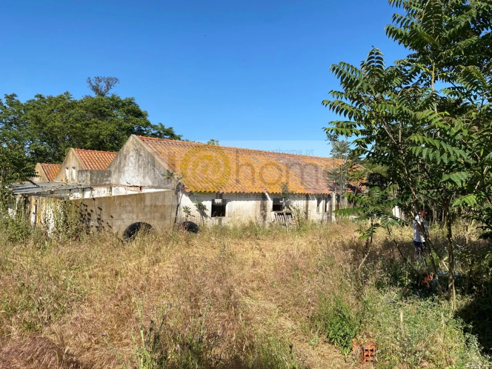 Quinta T4 para Venda em Nossa Senhora da Vila, Nossa Senhora do Bispo e Silveiras Foto 12