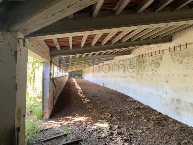 Quinta T4 para Venda em Nossa Senhora da Vila, Nossa Senhora do Bispo e Silveiras Foto 4