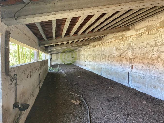 Quinta T4 para Venda em Nossa Senhora da Vila, Nossa Senhora do Bispo e Silveiras Foto 13