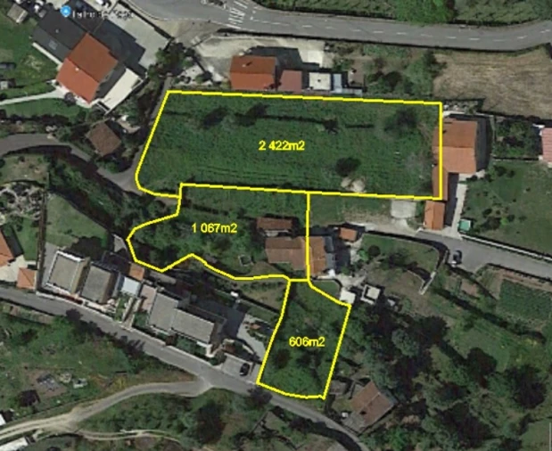 Terreno Misto para Venda em Geraz do Lima (Santa Maria, Santa Leocádia, Moreira), Deão Planta 1