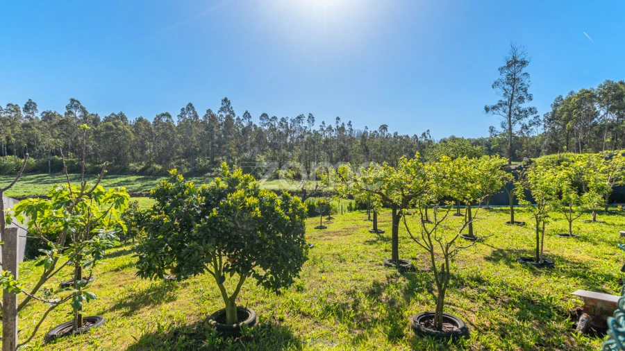 Moradia T4 para Venda em Junqueira