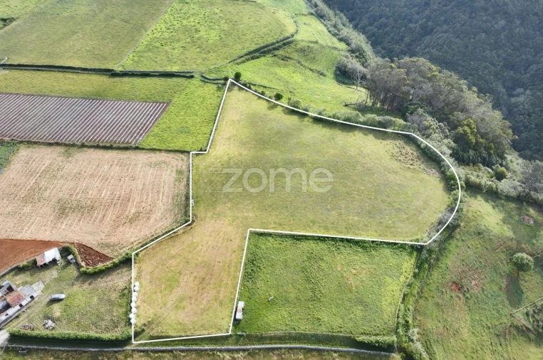 Terreno para Venda em Almagreira Foto 1