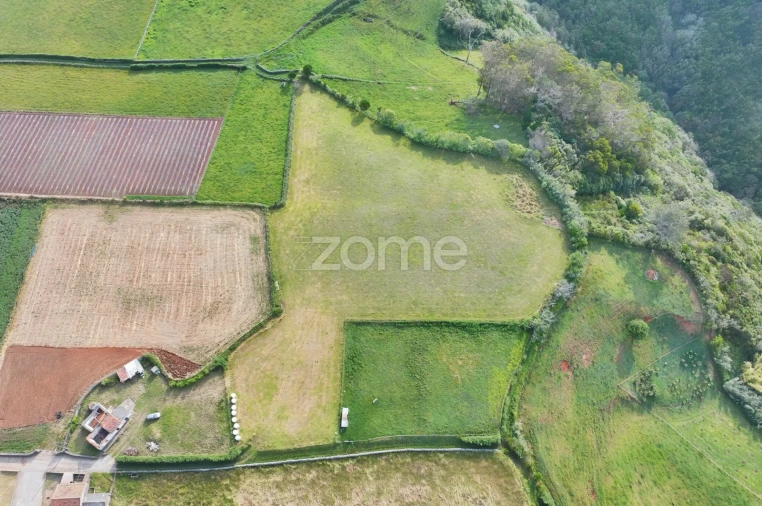 Terreno para Venda em Almagreira Foto 6