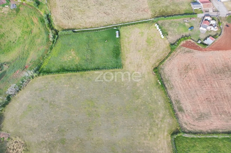 Terreno para Venda em Almagreira Foto 3