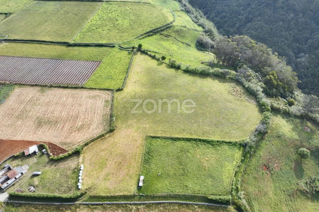 Terreno para Venda em Almagreira Foto 7