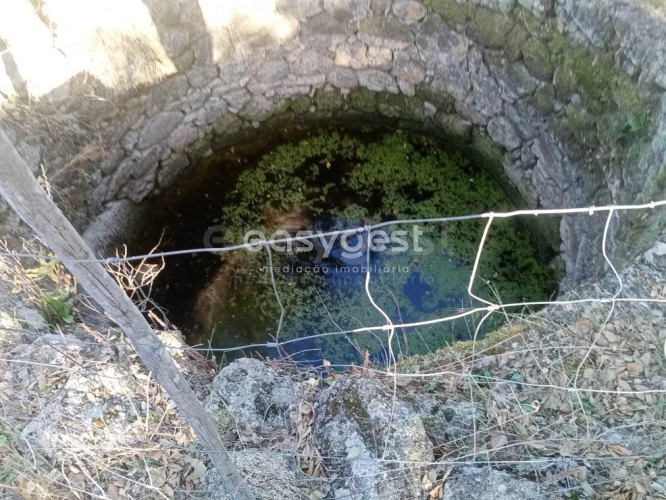 Terreno Agricola ou Rústico para Venda em Póvoa de Rio de Moinhos e Cafede Foto 3