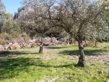 Terreno Agricola ou Rústico para Venda em Póvoa de Rio de Moinhos e Cafede