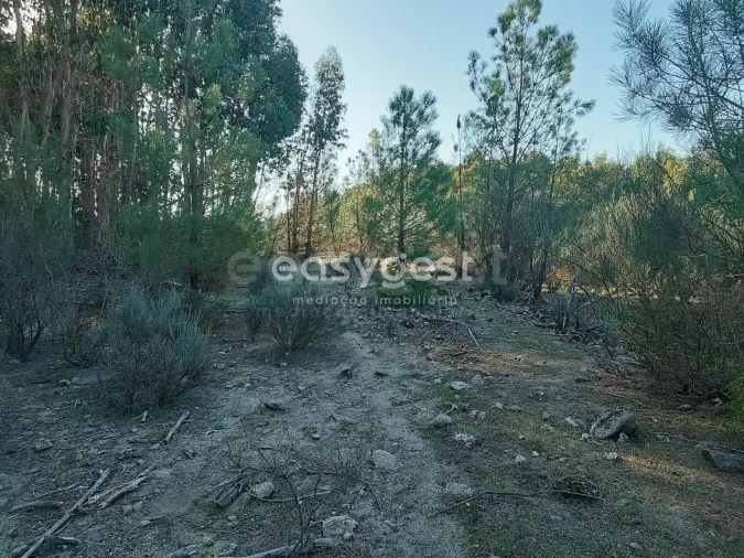 Terreno Agricola ou Rústico para Venda em Póvoa de Rio de Moinhos e Cafede Foto 6