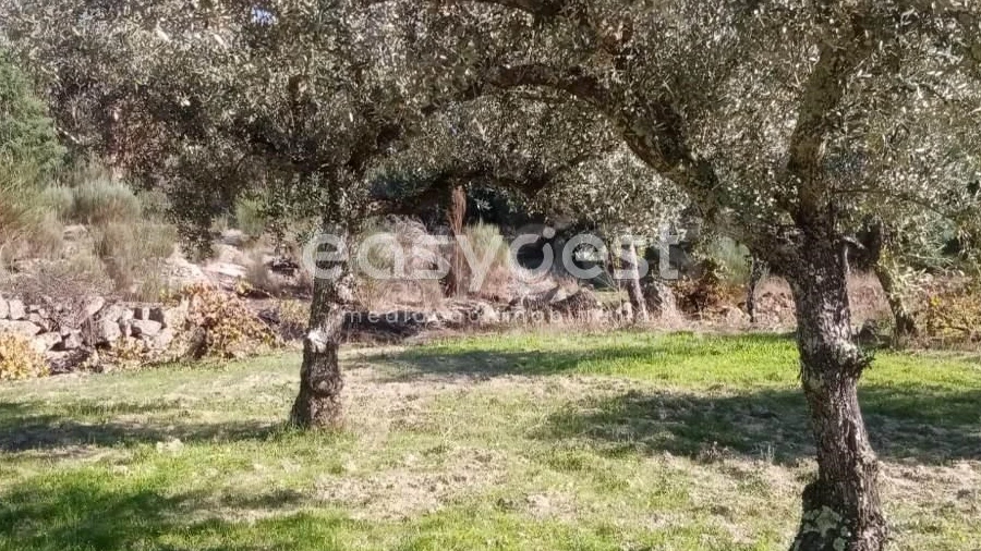 Terreno Agricola ou Rústico para Venda em Póvoa de Rio de Moinhos e Cafede
