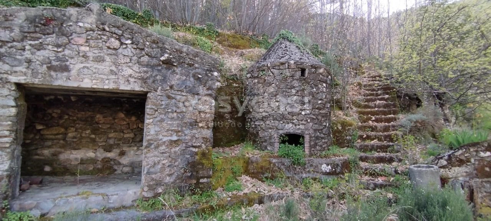 Moradia T4 para Venda em Manteigas (São Pedro) Foto 4