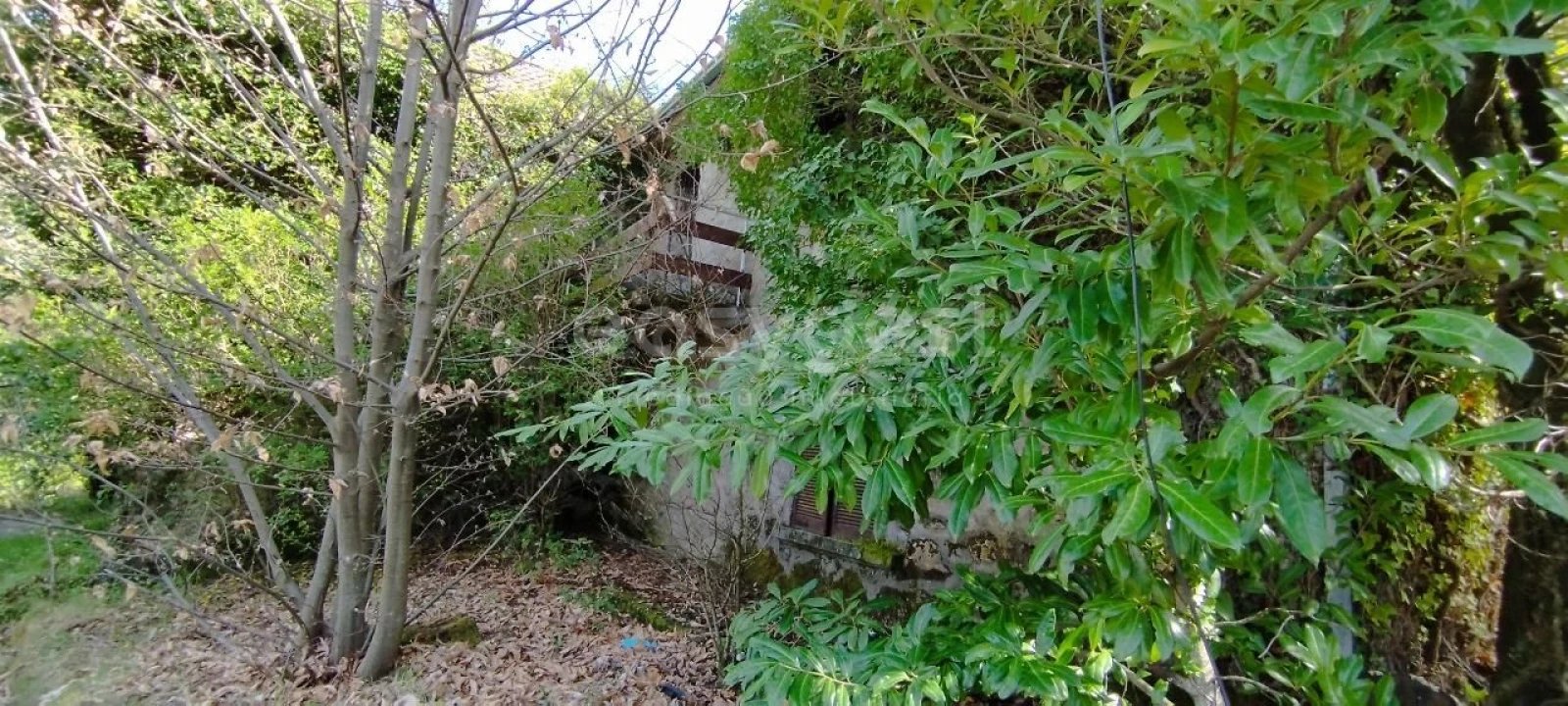 Moradia T4 para Venda em Manteigas (São Pedro) Foto 14