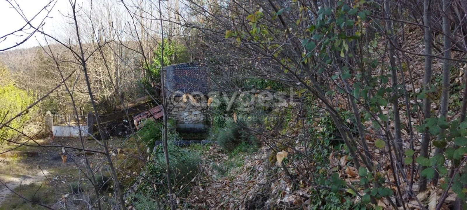 Moradia T4 para Venda em Manteigas (São Pedro) Foto 44