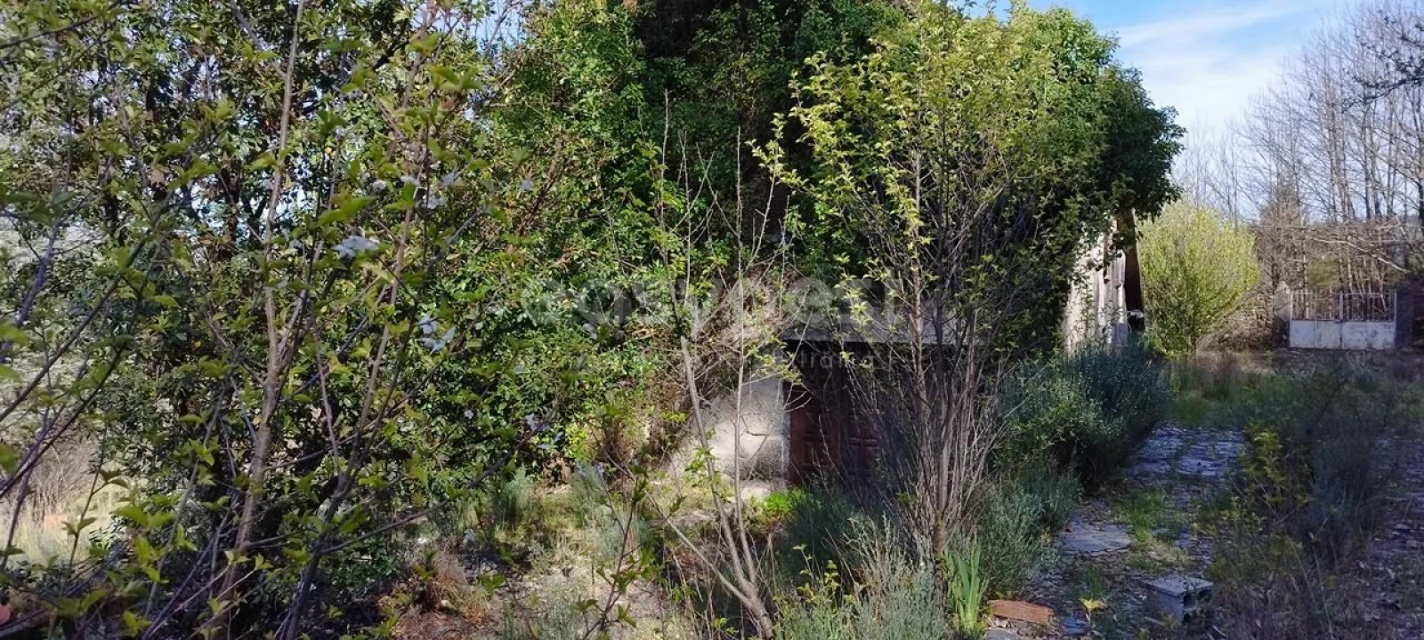 Moradia T4 para Venda em Manteigas (São Pedro) Foto 45