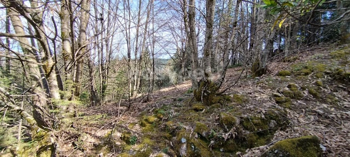 Moradia T4 para Venda em Manteigas (São Pedro) Foto 10