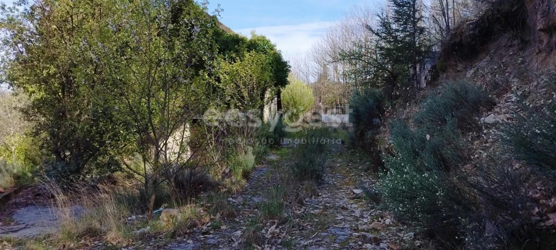 Moradia T4 para Venda em Manteigas (São Pedro) Foto 46