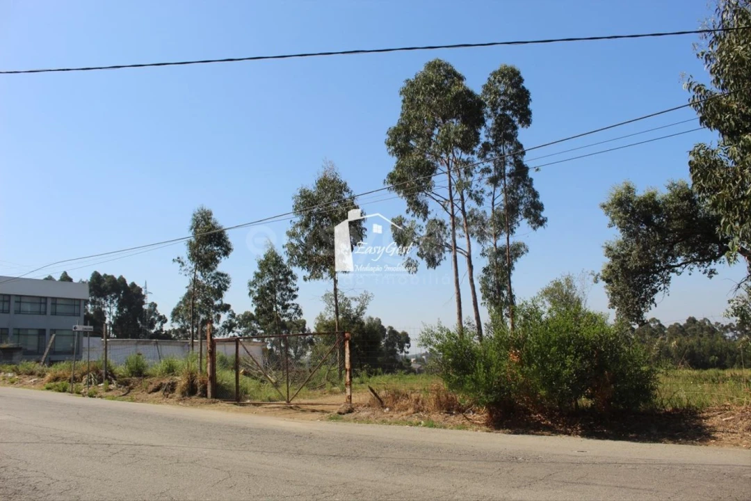 Terreno para Venda em Rio Meão Foto 6