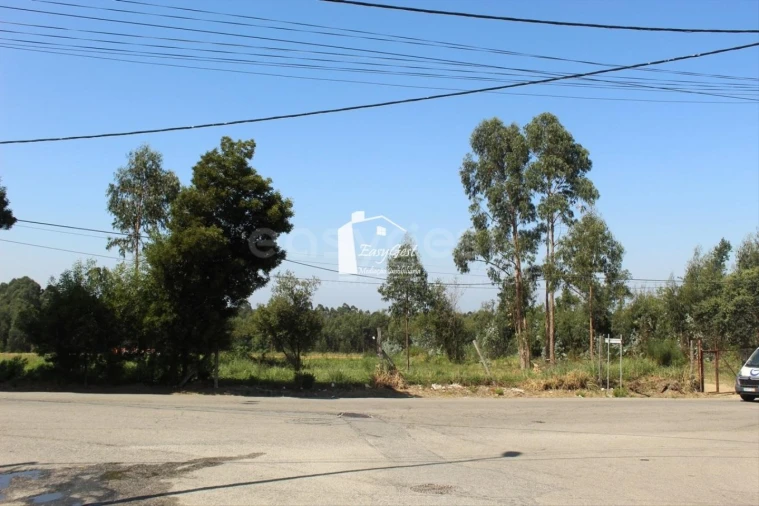 Terreno para Venda em Rio Meão Foto 10