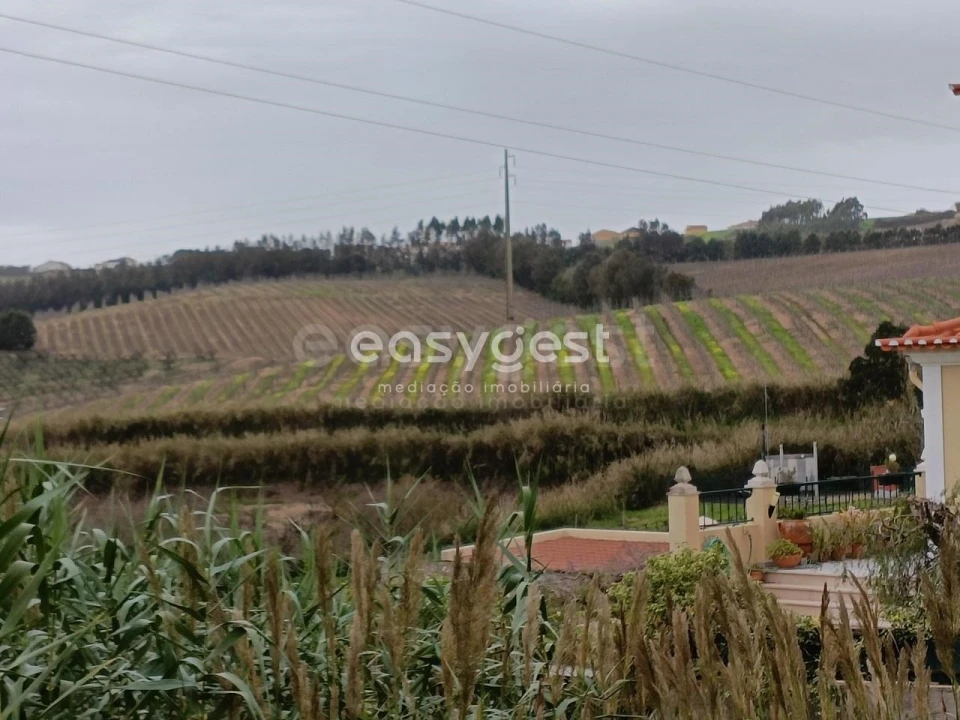 Terreno para Venda em Vimeiro Foto 19
