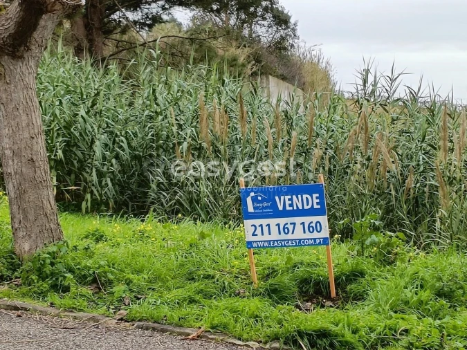 Terreno para Venda em Vimeiro Foto 2