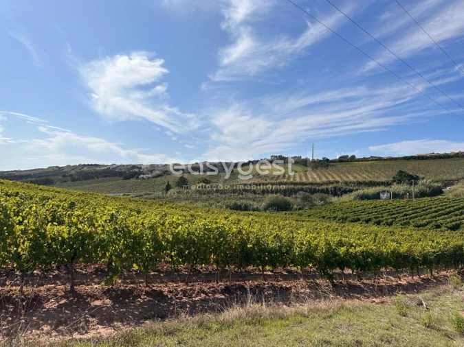 Terreno para Venda em Vimeiro Foto 11