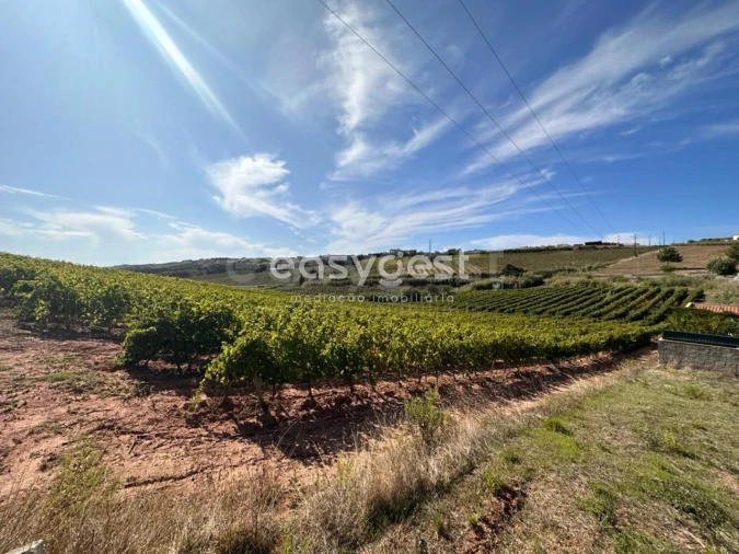 Terreno para Venda em Vimeiro Foto 13