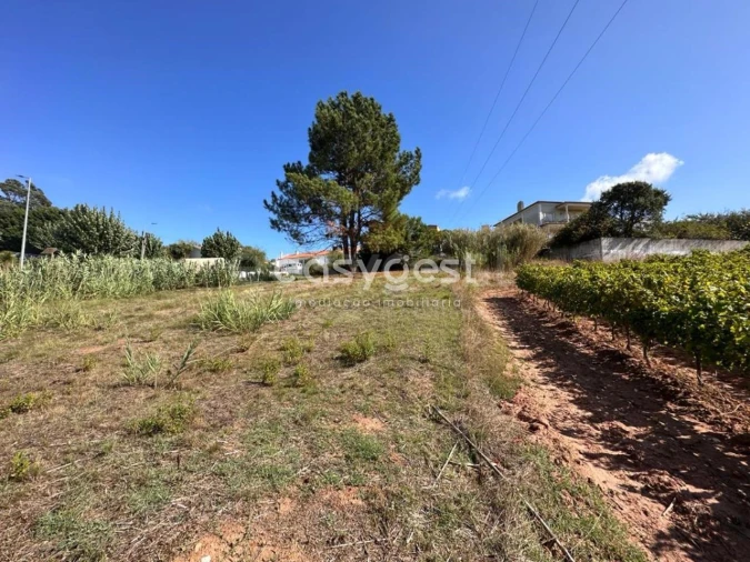 Terreno para Venda em Vimeiro Foto 14