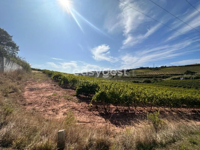 Terreno para Venda em Vimeiro Foto 16