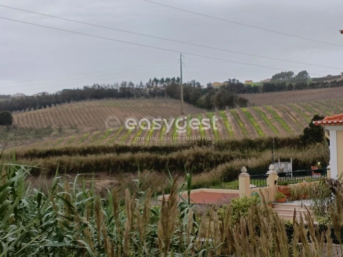 Terreno para Venda em Vimeiro Foto 19
