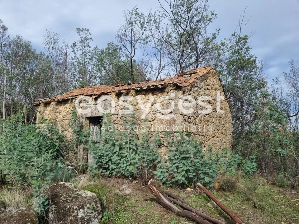 Terreno Agricola ou Rústico para Venda em Monsanto e Idanha-A-Velha Foto 1