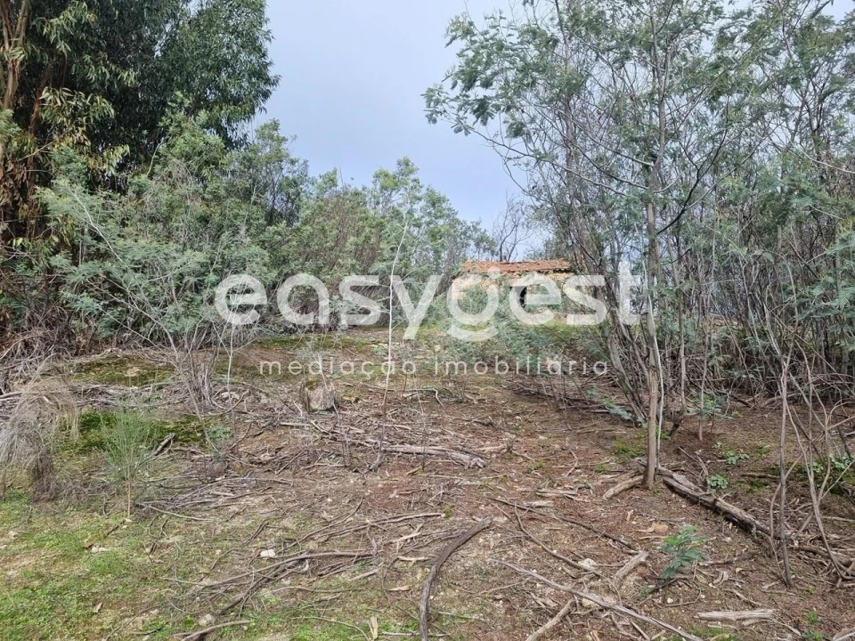 Terreno Agricola ou Rústico para Venda em Monsanto e Idanha-A-Velha Foto 5