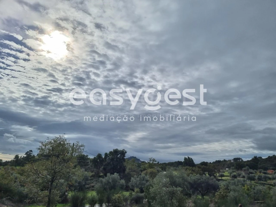 Terreno Agricola ou Rústico para Venda em Monsanto e Idanha-A-Velha Foto 7