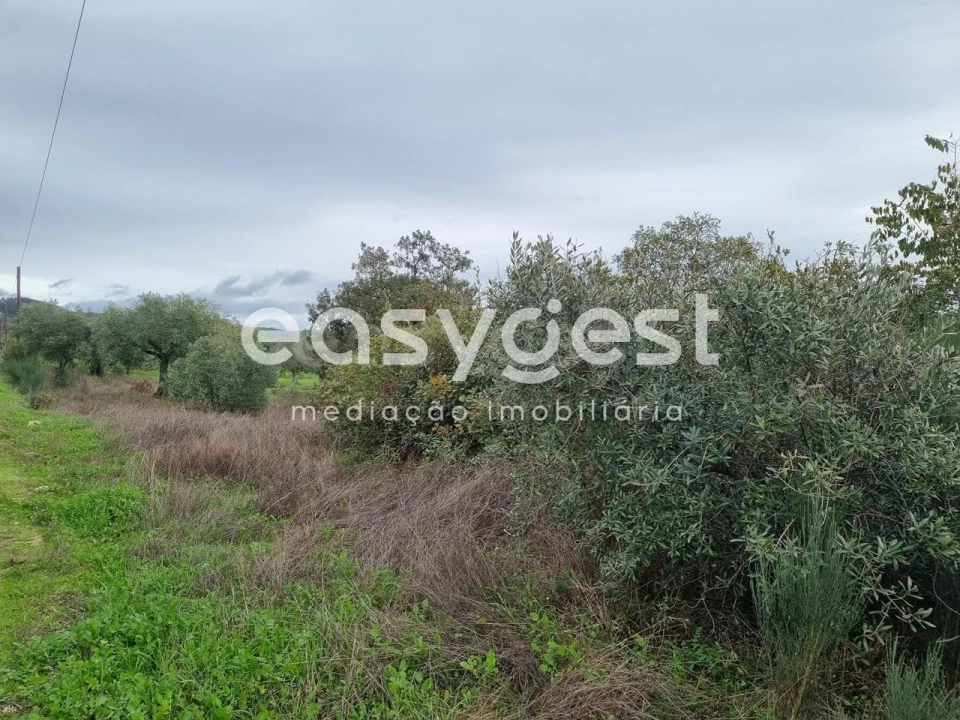 Terreno Agricola ou Rústico para Venda em Monsanto e Idanha-A-Velha Foto 8