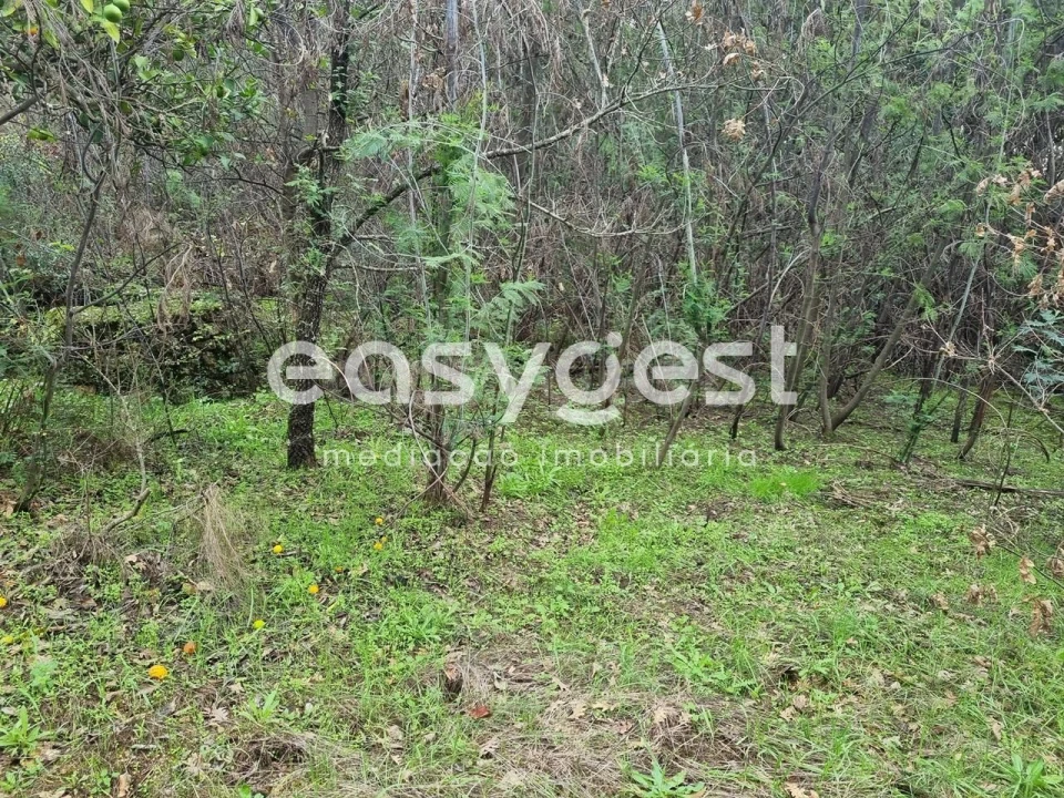 Terreno Agricola ou Rústico para Venda em Monsanto e Idanha-A-Velha Foto 9