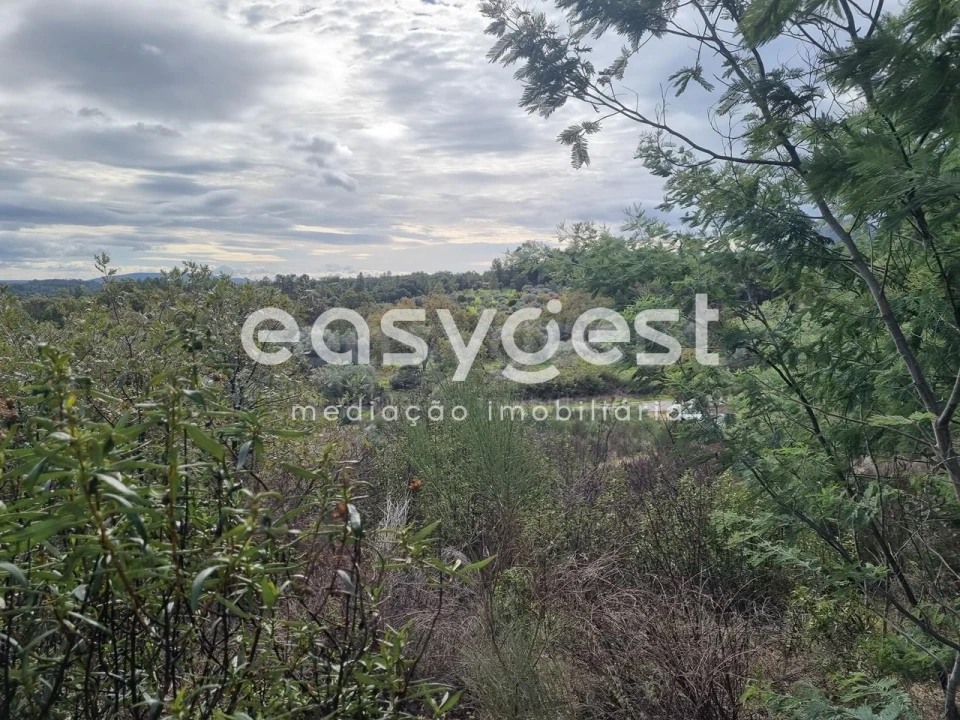 Terreno Agricola ou Rústico para Venda em Monsanto e Idanha-A-Velha Foto 12