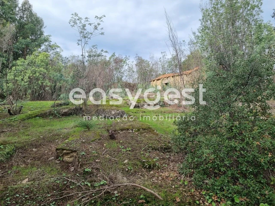 Terreno Agricola ou Rústico para Venda em Monsanto e Idanha-A-Velha Foto 16