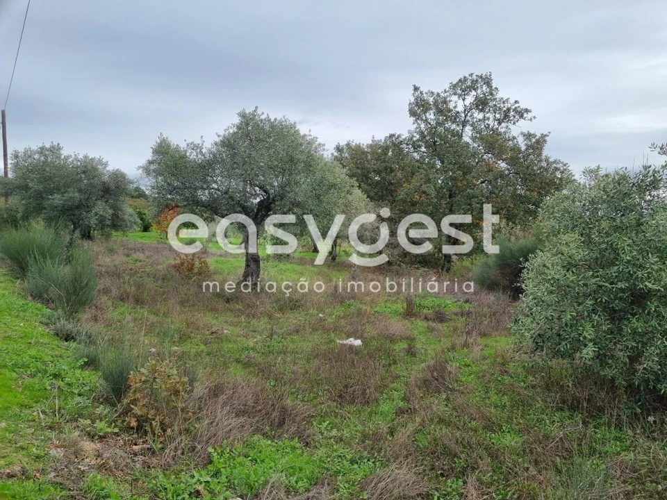 Terreno Agricola ou Rústico para Venda em Monsanto e Idanha-A-Velha Foto 20