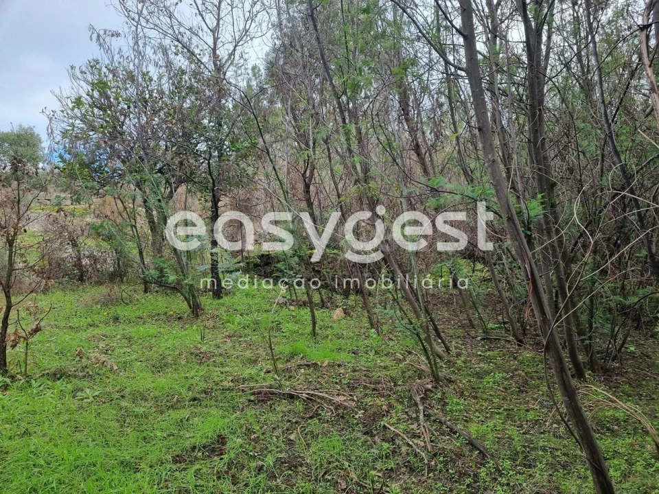 Terreno Agricola ou Rústico para Venda em Monsanto e Idanha-A-Velha Foto 23