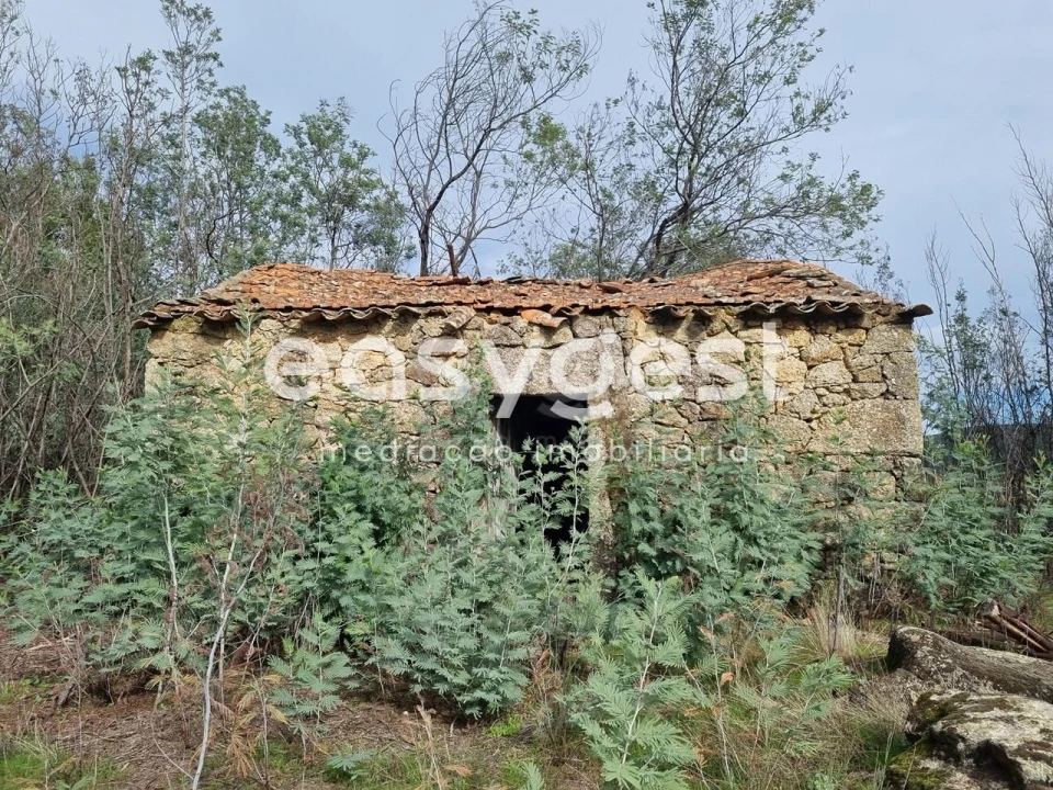 Terreno Agricola ou Rústico para Venda em Monsanto e Idanha-A-Velha Foto 26