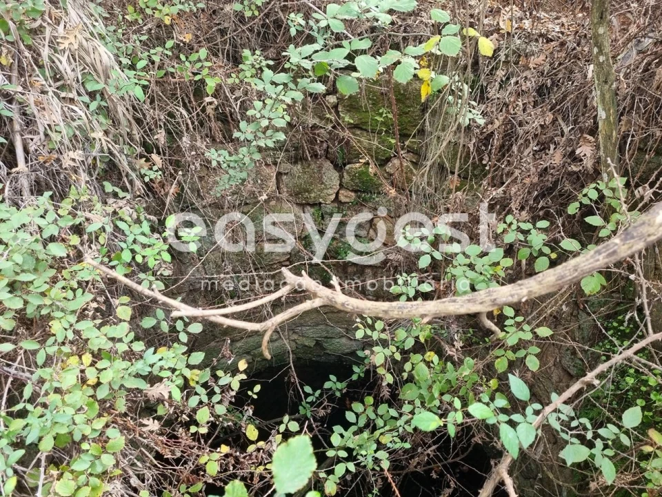Terreno Agricola ou Rústico para Venda em Monsanto e Idanha-A-Velha Foto 27
