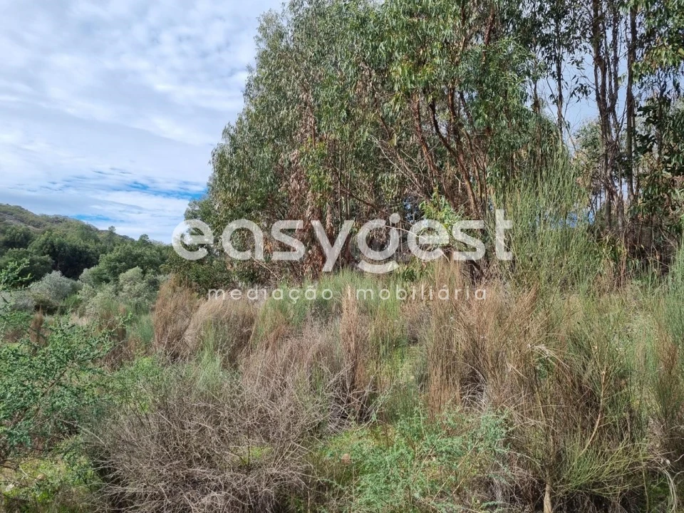 Terreno Agricola ou Rústico para Venda em Monsanto e Idanha-A-Velha Foto 30